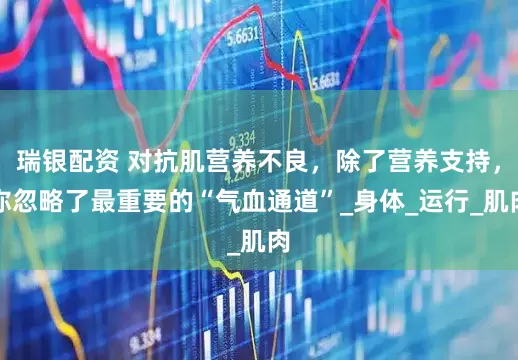 瑞银配资 对抗肌营养不良，除了营养支持，你忽略了最重要的“气血通道”_身体_运行_肌肉